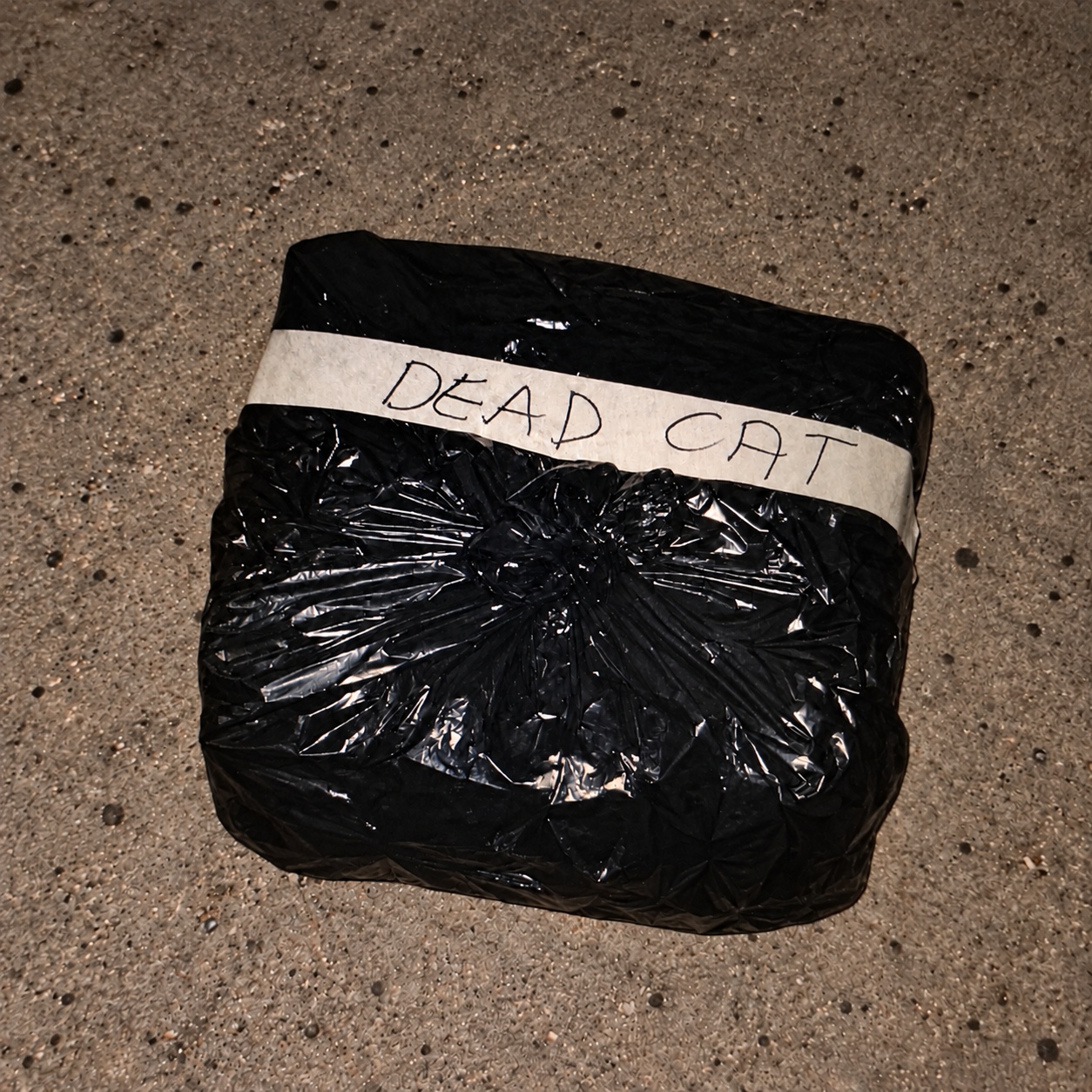 A crumpled black bag on concrete with handwritten DEAD CAT tape